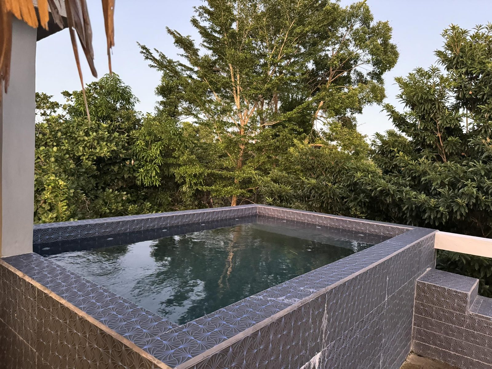 The splash pool under the rooftop palapa