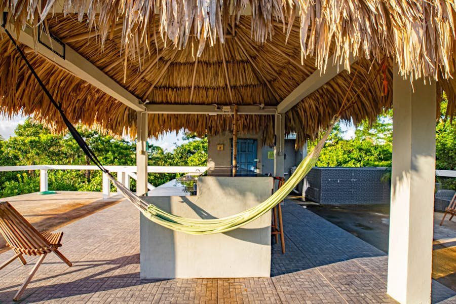 Rooftop Hammock