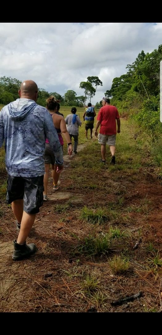Stroll Through the Coconuts
