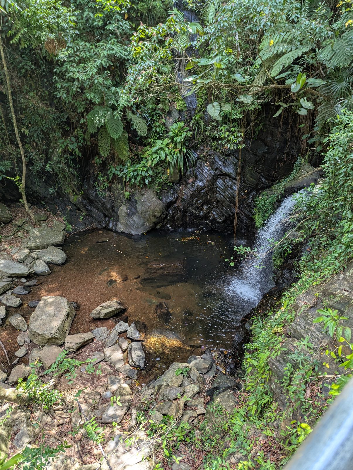 Waterfall in the Maya Mountains